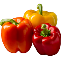 Bell-Pepper